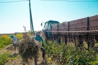 Субботник на сельском кладбище все продолжается