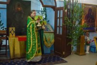 День Святого Духа в храме Рождества Пресвятой Богородицы 