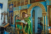 Лазарева суббота в храме Рождества Пресвятой Богородицы 